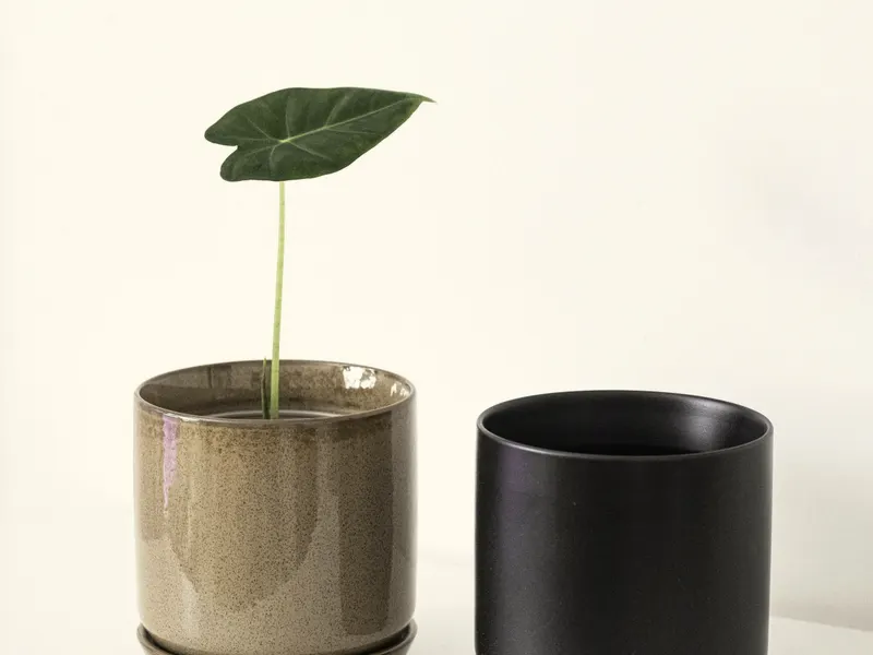 pots grouped on a concrete ledge
