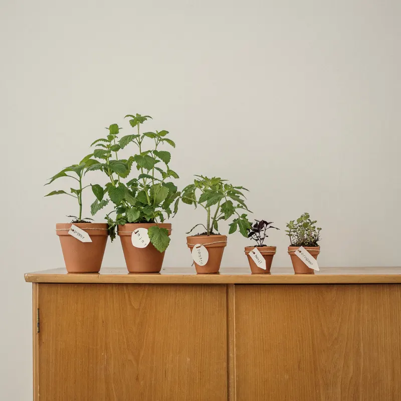 three glazed pots in a row
